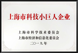 上(shàng)海(hǎi)市科技小(xiǎo)巨人(rén)企業(yè)
